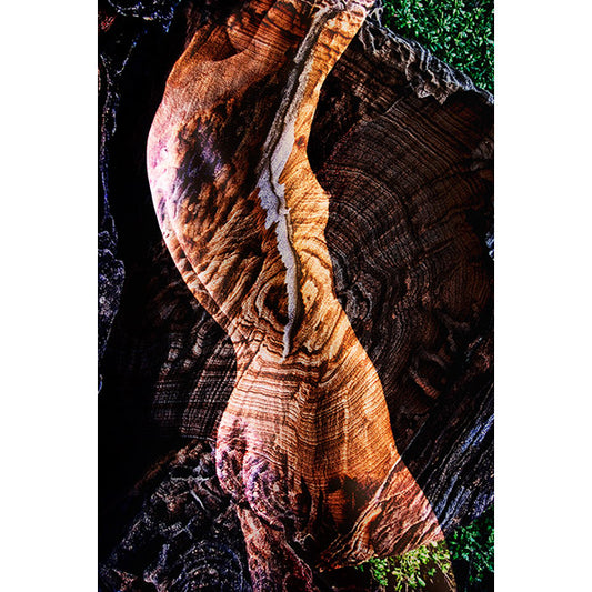 Dissolution - Limited Edition Prints
