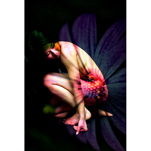 Flower Fairy - Limited Edition Prints