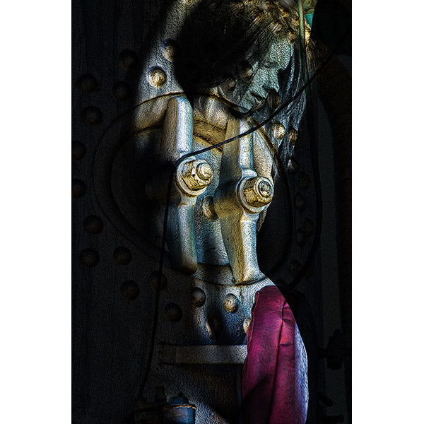 Welcome to the Machine - Poster Prints